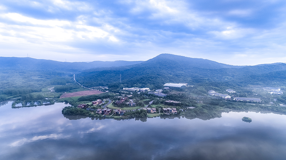 佘村