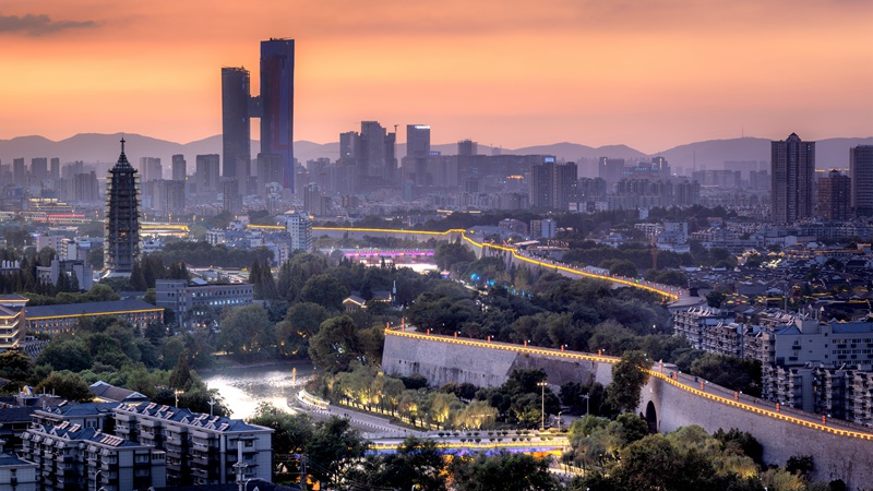 ���ų���ò��