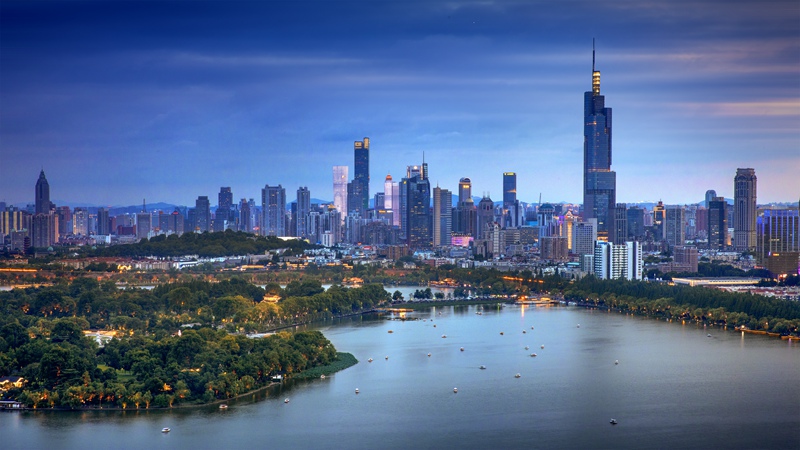 ���ų���ò��