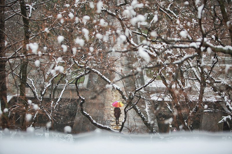 《覆雪午朝門》