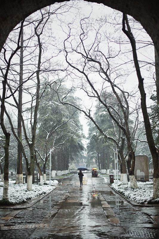 《覆雪午朝門》