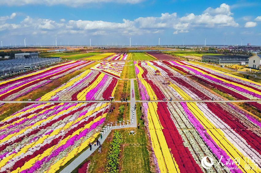 ������������ض�����ũ��������Ķ�պ�