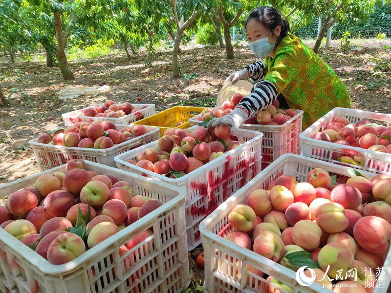 ��������ǧĶ���ֹ�ʵ���ۣ����ҳ���Ц���꡾4��