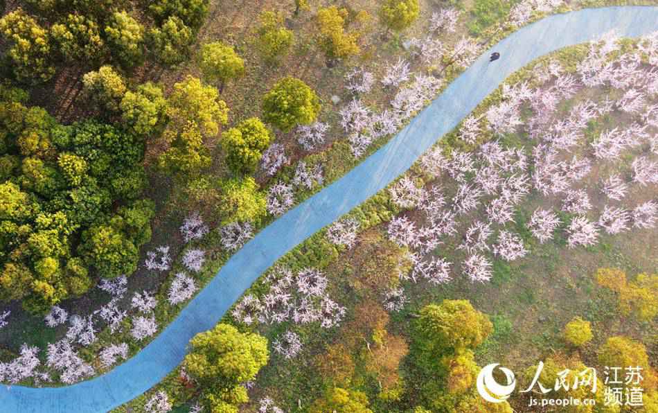 ����ǹ���չ�����������ϵ�����