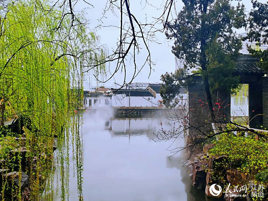 垂柳紅花、白牆青瓦，倒映在清澈的小溪裡，就像一幅油畫。人民網記者王繼亮攝