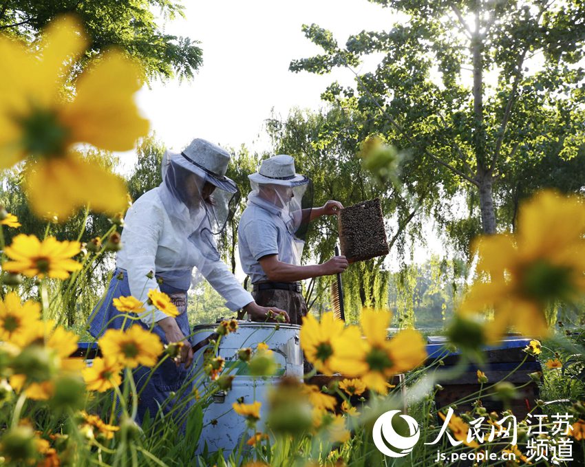 ��ũ��ʿ���ͼ�����æµ�С���������