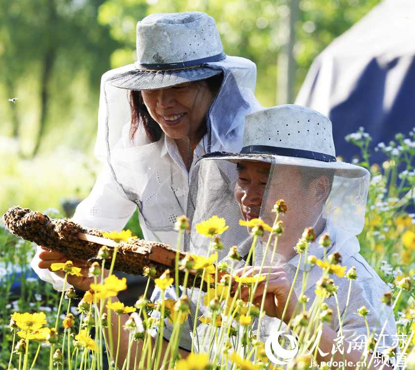 ��ũ��ʿ���ͼ��˼���۷�������������������