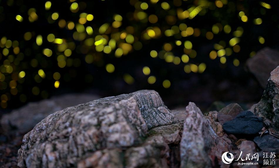 ��ө�����Ʒ��ǡ���־����