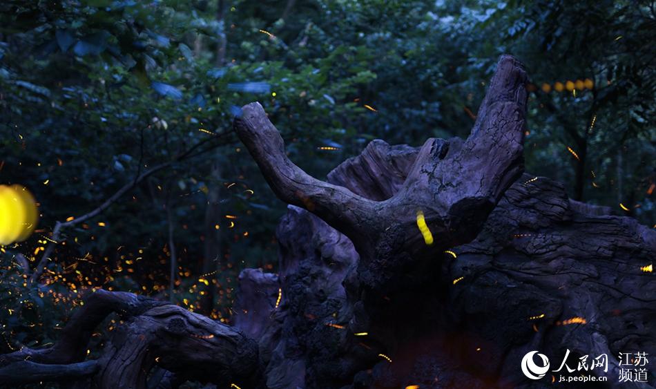 ��ө�����Ʒ��ǡ�������