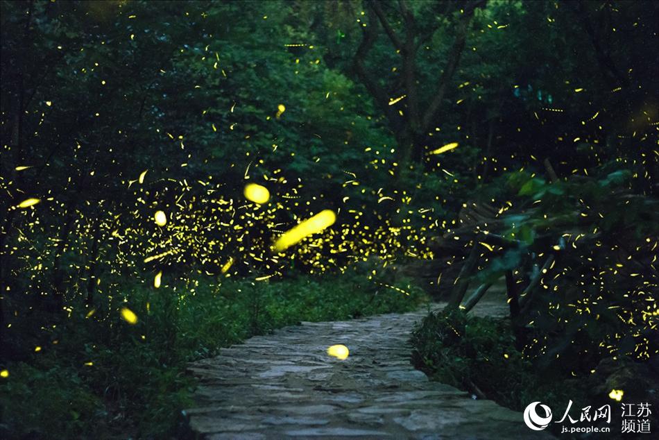 ��ө�����Ʒ��ǡ�������