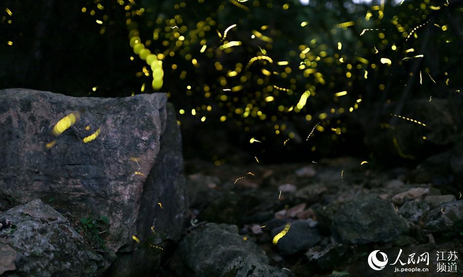 ��ө�����Ʒ��ǡ���־����