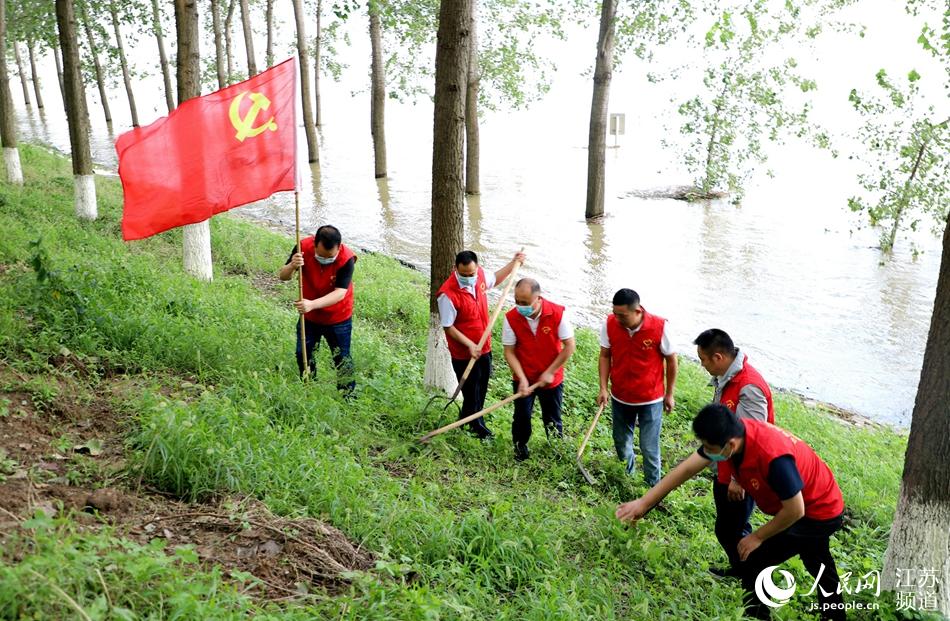 沭阳烟草专卖局机关志愿者在新沂河大堤协助护堤人员巡堤查险。张良摄