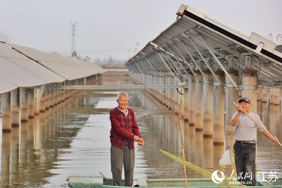 �������ڸ����صĹ���泡���̡� ������ ��������