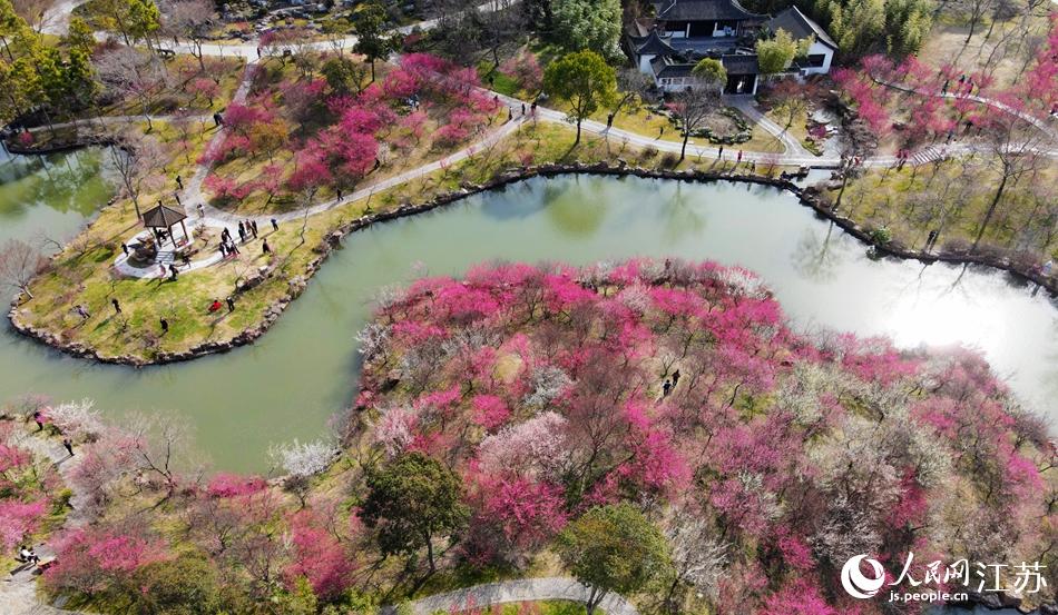 ÷���������š��ϵ�����