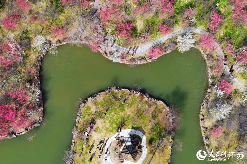 ��������������÷���������ϵ�����