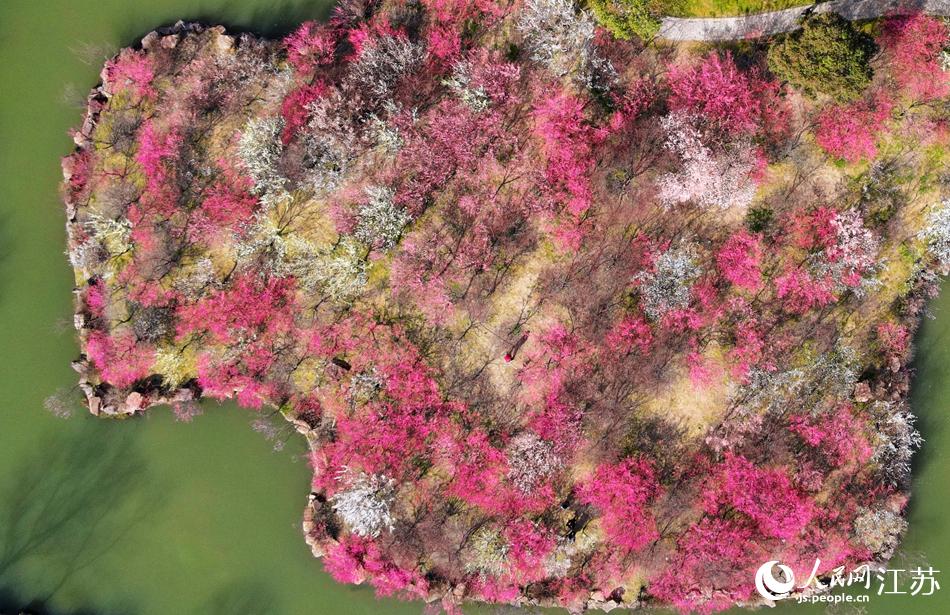 ��������������÷���������ϵ�����