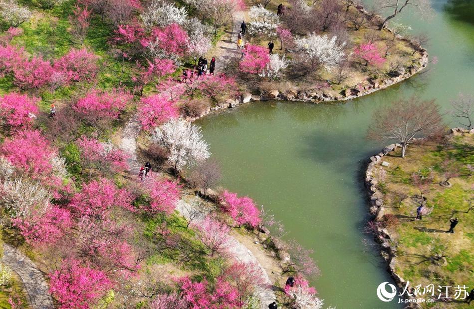 ��������������÷���������ϵ�����