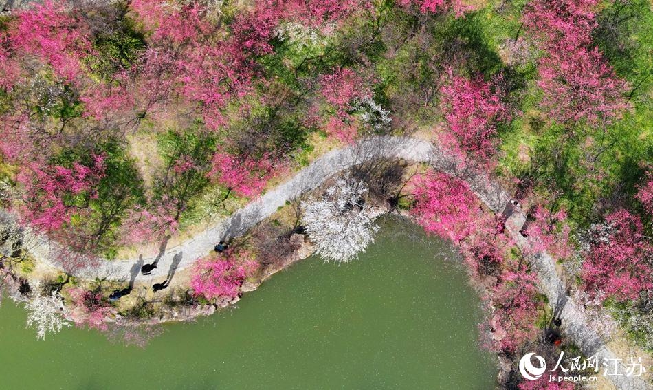 ÷���������š��ϵ�����