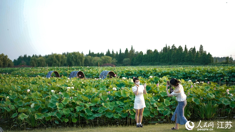 市民在荷花塘前拍照。虞彬摄 