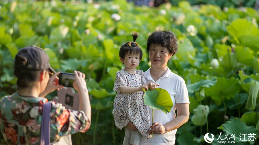 市民在荷花塘前拍照。虞彬摄