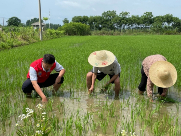 党员志愿者服务队开展帮农助农活动。浦口烟草供图