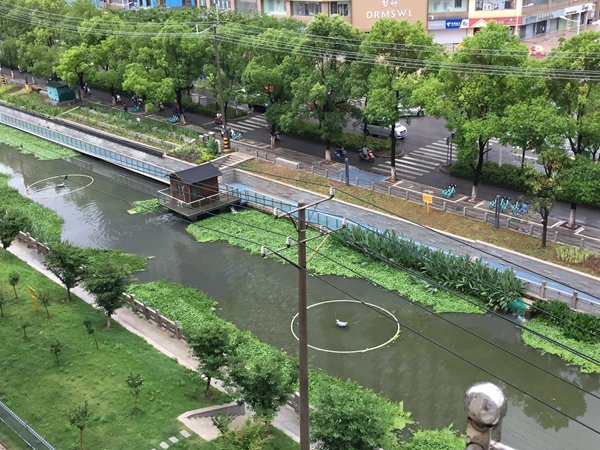 6月24日雨后，黑水从监测点小房子下排口再次排入大寨河。留言人供图
