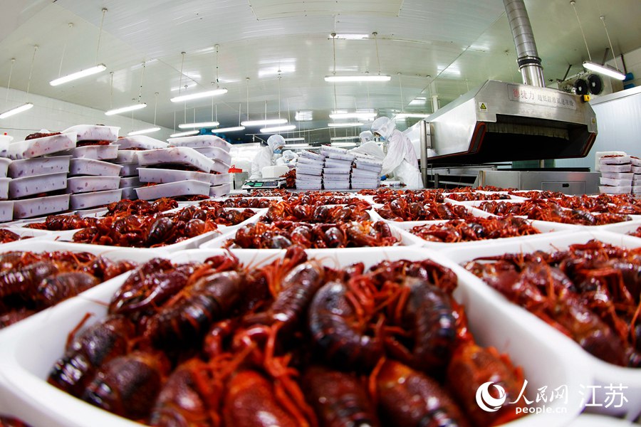 工人正在将加工后的小龙虾摆放入盘。许昌亮摄