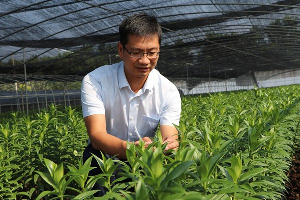 郝大寶在田間研究花卉生長情況。東海縣委宣傳部供圖_副本