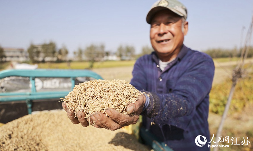 村民展示刚刚收获的水稻。司伟摄
