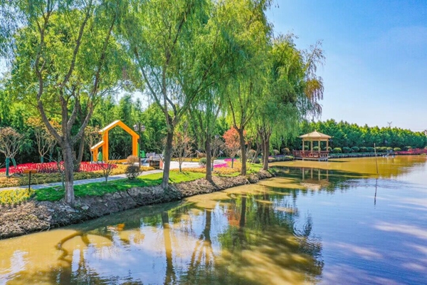 图为西来镇丰产村河道。盛义摄