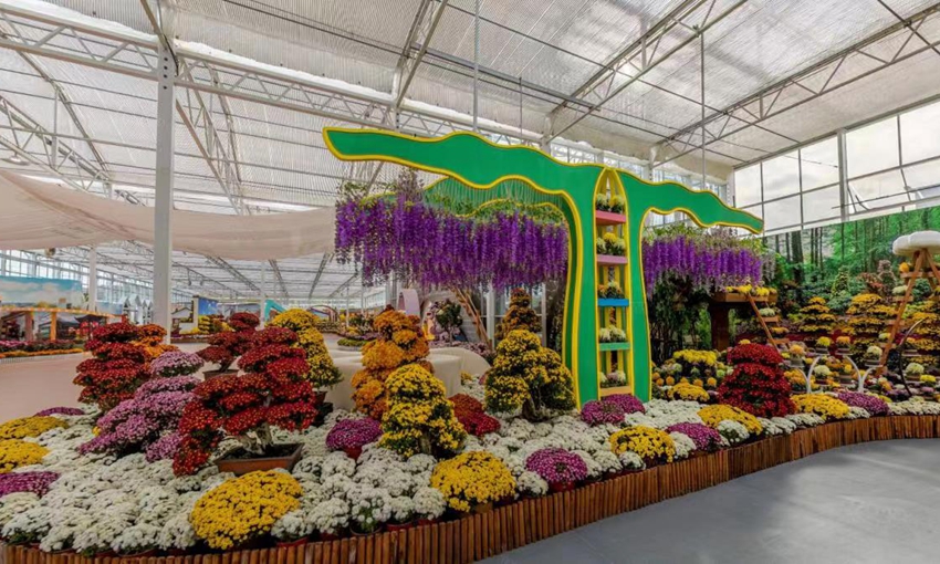 江宁湖熟菊花展上的菊花。江宁区委宣传部供图