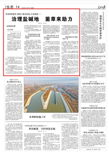 2022-12-05                            江苏盐城：治理盐碱地 菌草来助力                                    江苏盐城自古有“环城皆盐场”之称。目前，盐城共有沿海滩涂约683万亩，约占江苏省盐碱地总面积的70%。自去年4月开始，在国家菌草工程技术研究中心首席科学家林占熺与科研人员的共同努力下，盐城通过种植菌草，降低土壤含盐量，尝试破解土地盐碱化治理的难题。                    【详细】                            