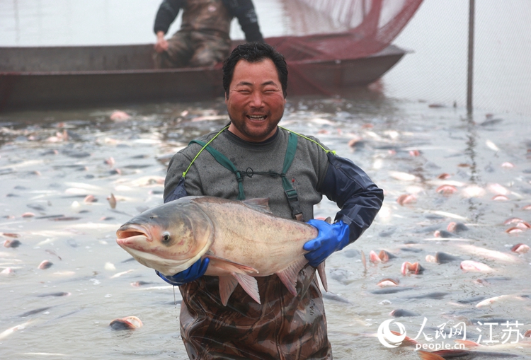 渔民捞起一条大鱼。史道智摄