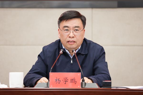 南京市委常委、江北新区党工委书记杨学鹏讲话。江北新区供图