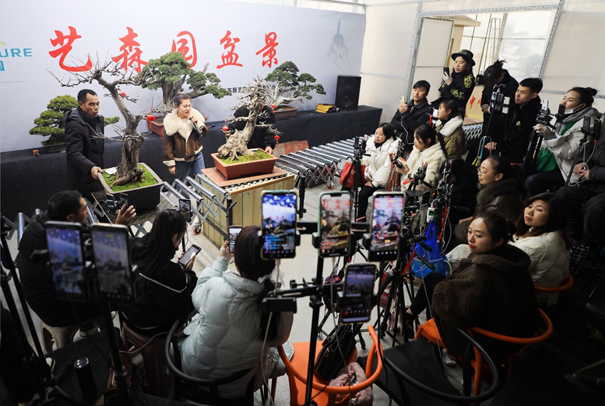 数十名花木电商主播通过矩阵直播与粉丝互动，提升销量。丁华明摄