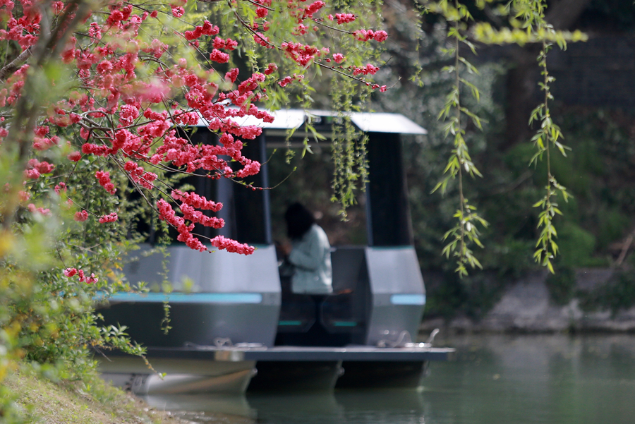 游船与古城美景交相辉映。孟德龙摄