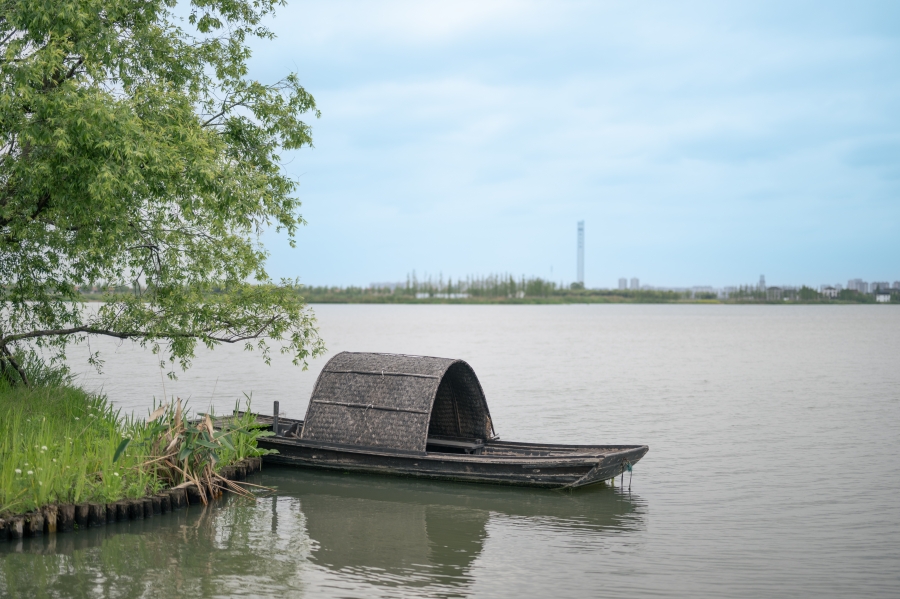 古朴的乌篷船停靠在湖岸。人民网 马焘焘摄