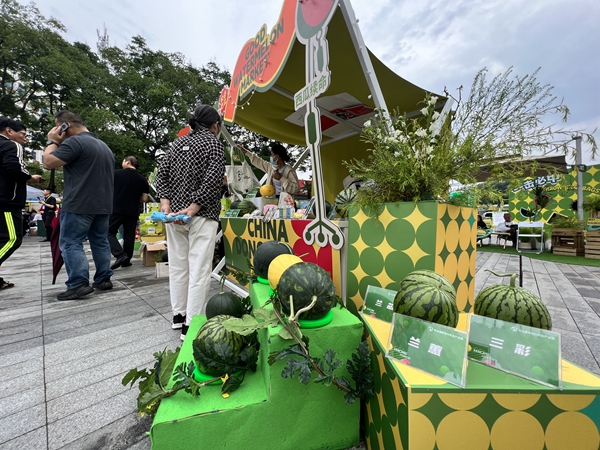 图为在南艺后街进行展示售卖的东台精品西瓜。曈暚 摄