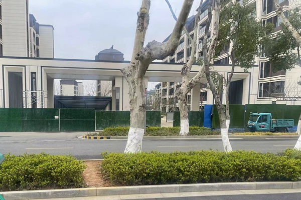 今年三月，整改前的绿化带。高淳城建局供图