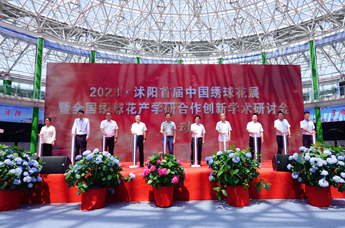 首届中国绣球花展在江苏沭阳举办