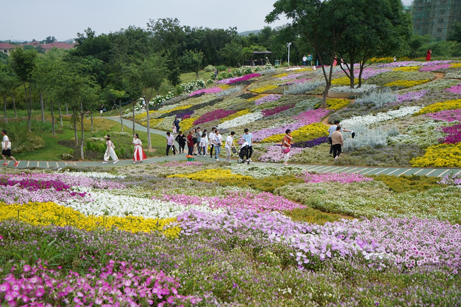 游客在花谷奇缘景区赏花。金坛茅山旅游度假区供图