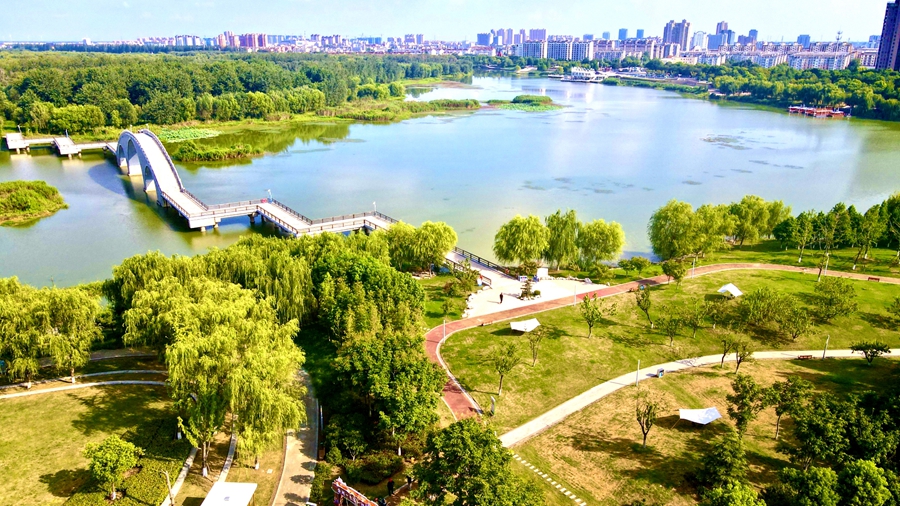 起点公园的野外帐篷乐享园林。金湖县委宣传部供图