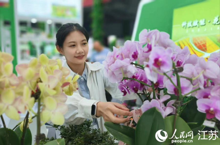 参展商整理花木产品。人民网 范尧摄