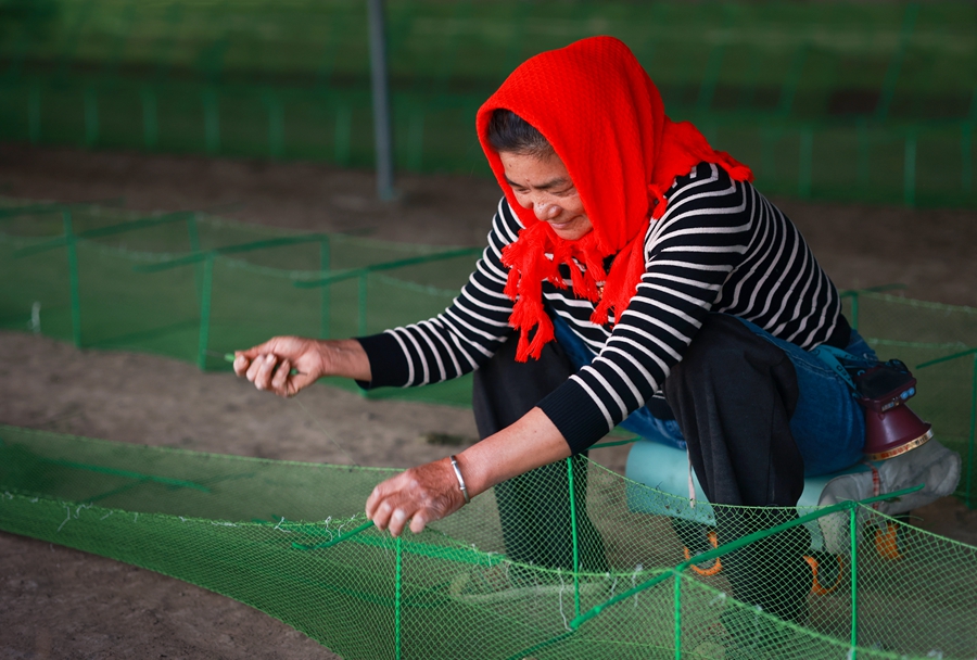 戴家村渔网编织生产基地内村民在手工编织渔网。史道智摄