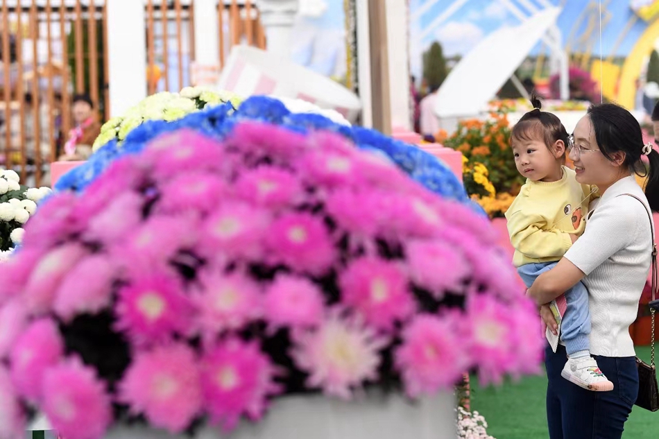 菊花展吸引市民观赏。万程鹏摄