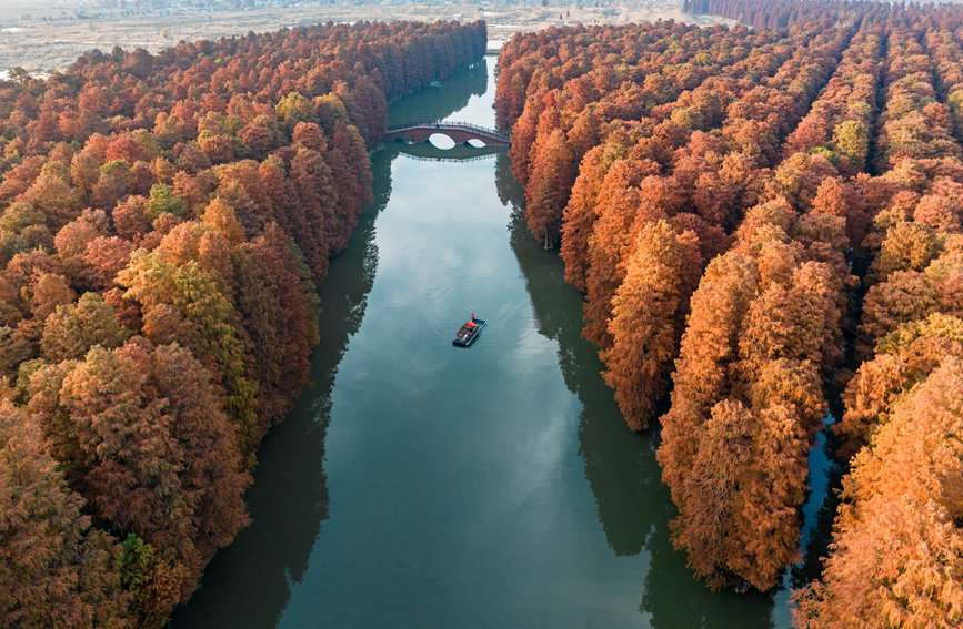 航拍里下河国家湿地公园。周社根摄