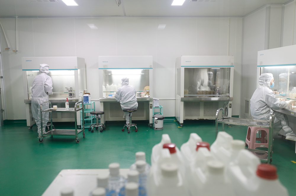 江苏省泗阳县绿生物科技股份有限公司科创中心内，技术人员在实验室内忙碌。