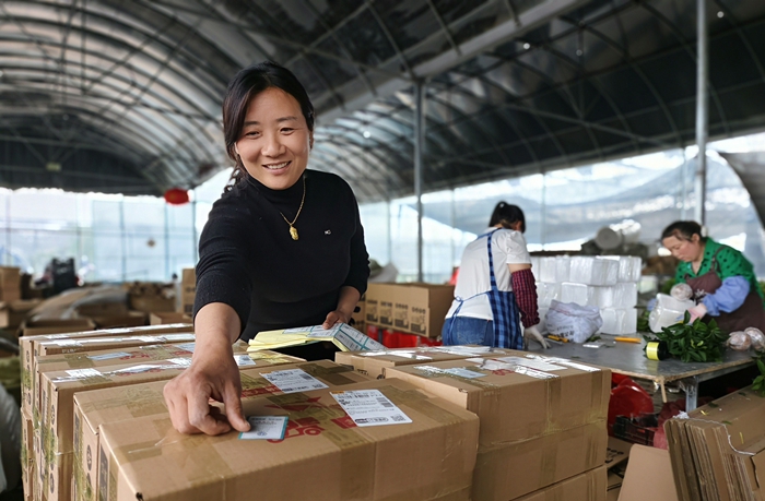 新河镇堰头村月季花基地花木电商为每份快递贴上诚信标签。丁华明摄