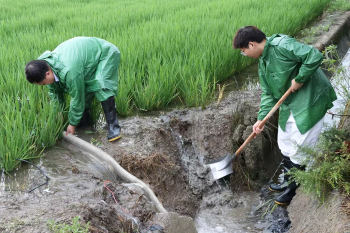 突击队员协助村民排出农田积水。赵忠摄