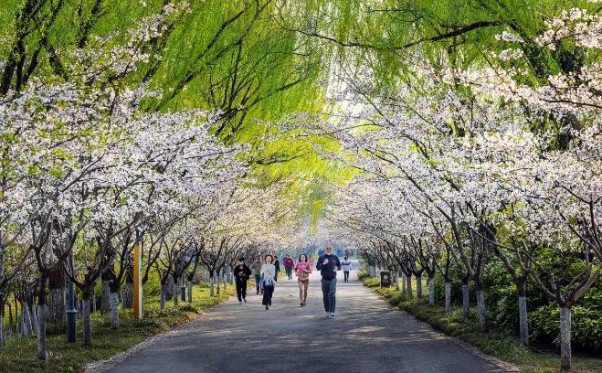 淮安钵池山公园绿道